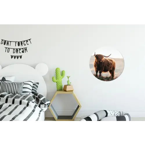 Schotse hooglander - Dieren - Landelijk - Landschap - Koe - Natuur Wandcirkel aluminium klein -kinderkamer