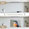 Kleurrijk - Vogeltje - Veren - Blauw keuken achterwand spatscherm klein -voor_na_NL
