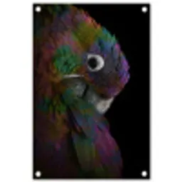 Papegaai - Vogel - Regenboog tuinposter los doek klein -3d