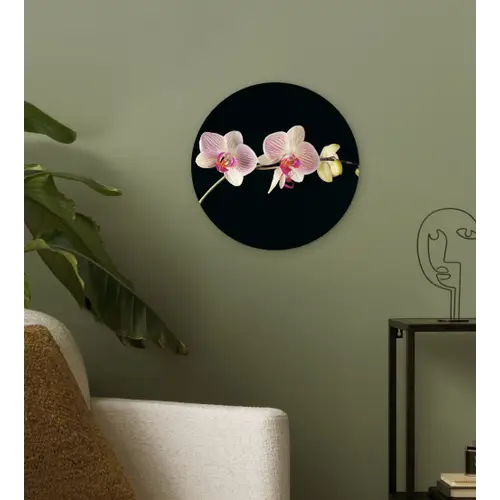 Orchidee - Bloemen - Zwart - Roze - Knoppen Wandcirkel kunststof plaat 5mm dik klein -sfeer3