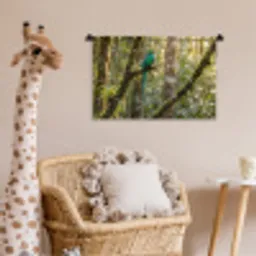 Quetzal - Jungle - Natuur - Groen Wandkleed katoen klein -wsfeer5_kind