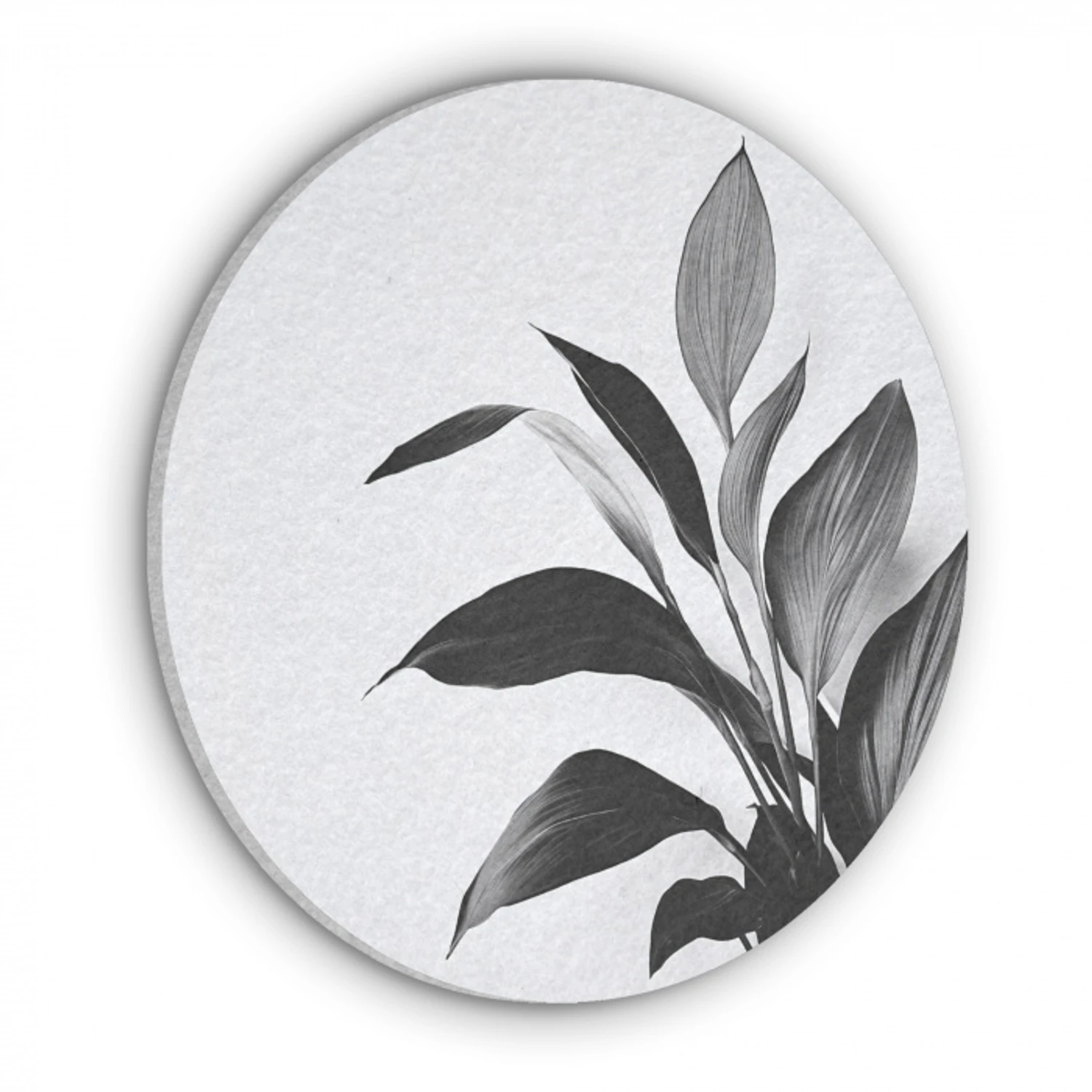 Plant - Bladeren - Minimalistisch - Zwart Akoestische PET Vilt - Rond klein -3d