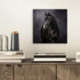 Portret - Paard - Zwart aluminium wit klein -sfeer1