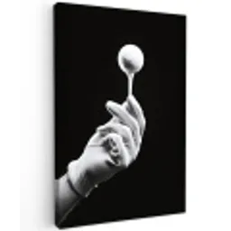 Golfbal - Zwart - Wit Tuinposter op houten frame 2 cm dik middel -3d
