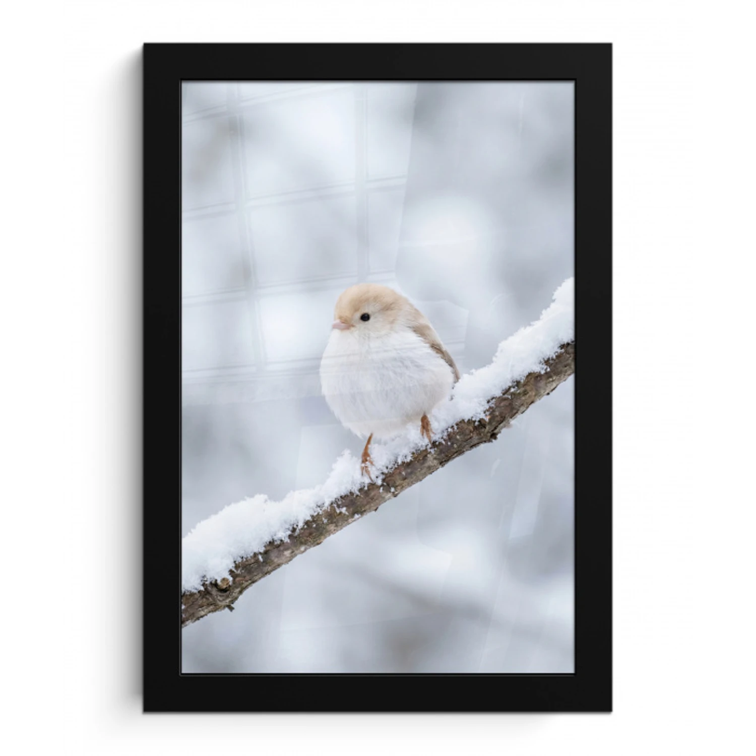Vogeltje - Sneeuw - Tak - Winter - Zacht fotolijst zwart zonder passe partout klein -3d