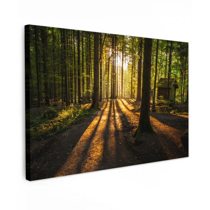Zon - Bomen - Bos - Landschap - Natuur Tuinposter op houten frame 2 cm dik klein -3d