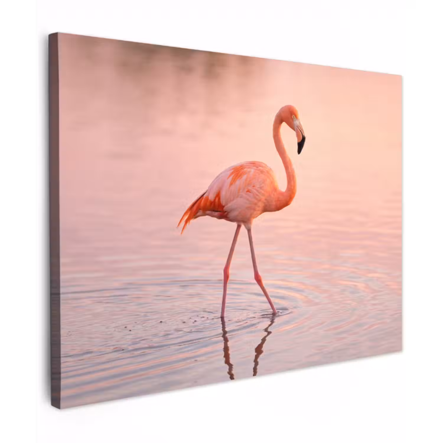Canvas Print - Flamingo - Water - Pink