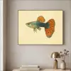 Vis - illustratie - Stippen - Oranje Textielframe zwart klein -sfeer2