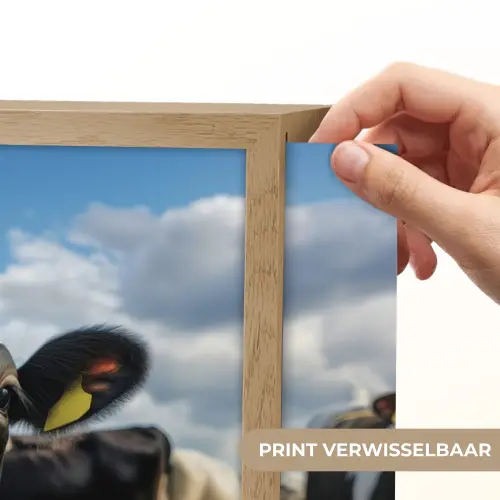 Koe - Tong - Weide Light Box met batterij (Wandlamp) middel -USP_websiteprintNL