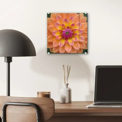 Dahlia - Bloem - Oranje plexiglas 5mm klein -sfeer6