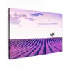 Lavendel - Bomen - Paars - Bloemen canvas 2cm klein -z3d