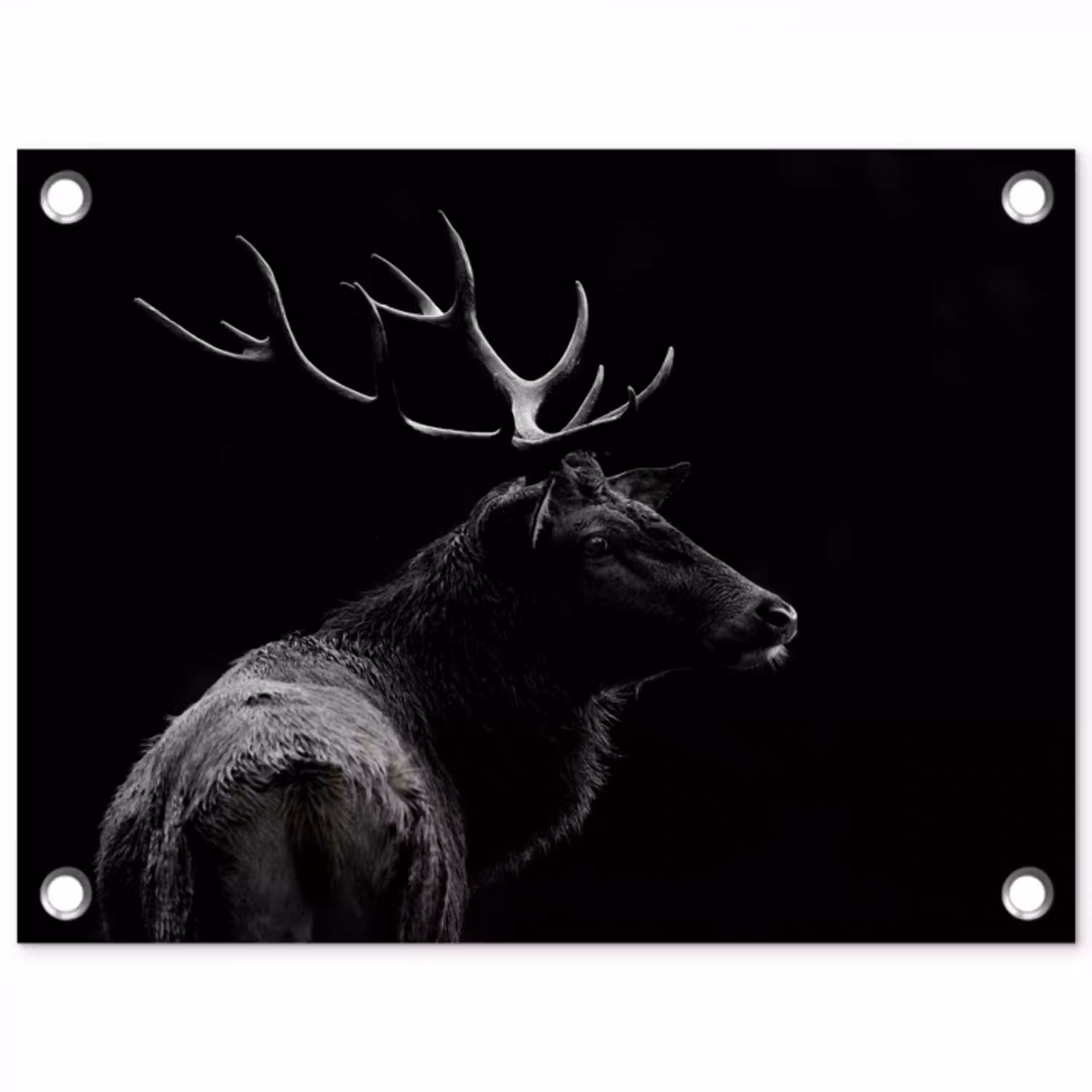 Hert - Zwart - Portret - Gewei - Dieren tuinposter los doek klein -3d