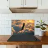Adelaar - Wolken - Zon keuken achterwand spatscherm klein -sfeer2