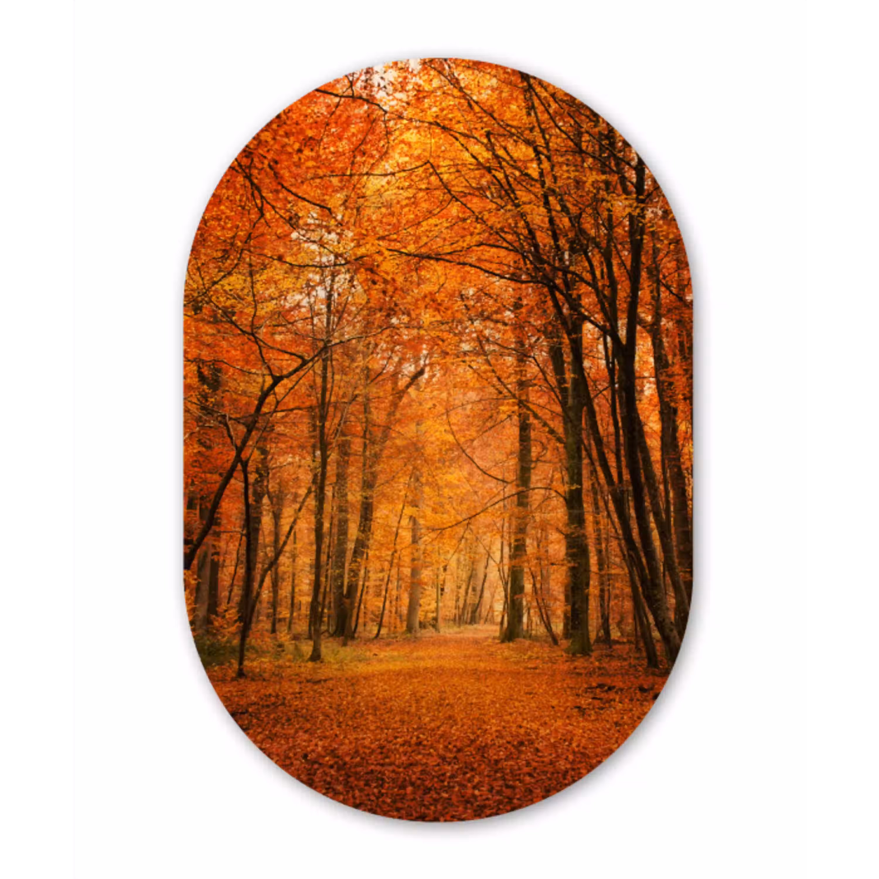 Herfst - Rood - Bos Wandcirkel Ovaal Forex klein -3d