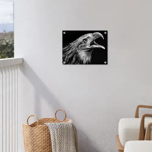 Adelaar - Portret - Roofvogels - Zwart - Wit - Vogel tuinposter los doek klein -sfeer8