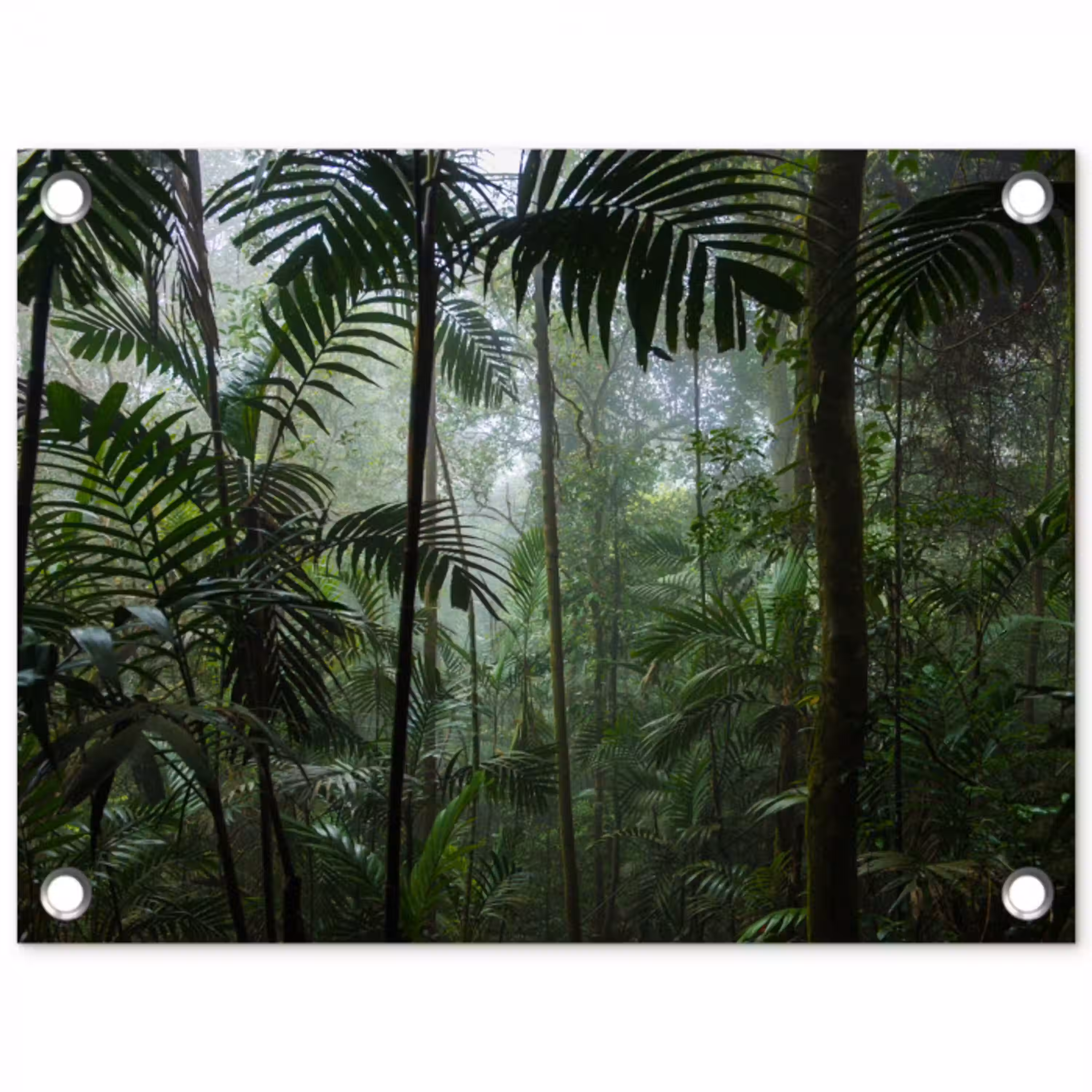 Mysterieuze Tropische Woud tuinposter los doek klein -3d