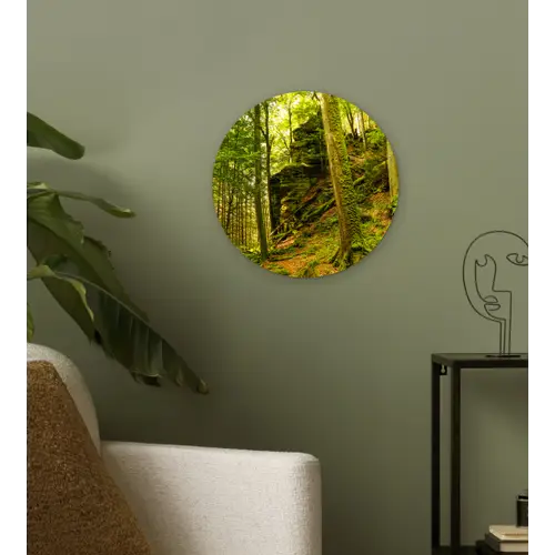 Bomen - Steen - Bos - Natuur - Planten Wandcirkel kunststof plaat 5mm dik klein -sfeer3
