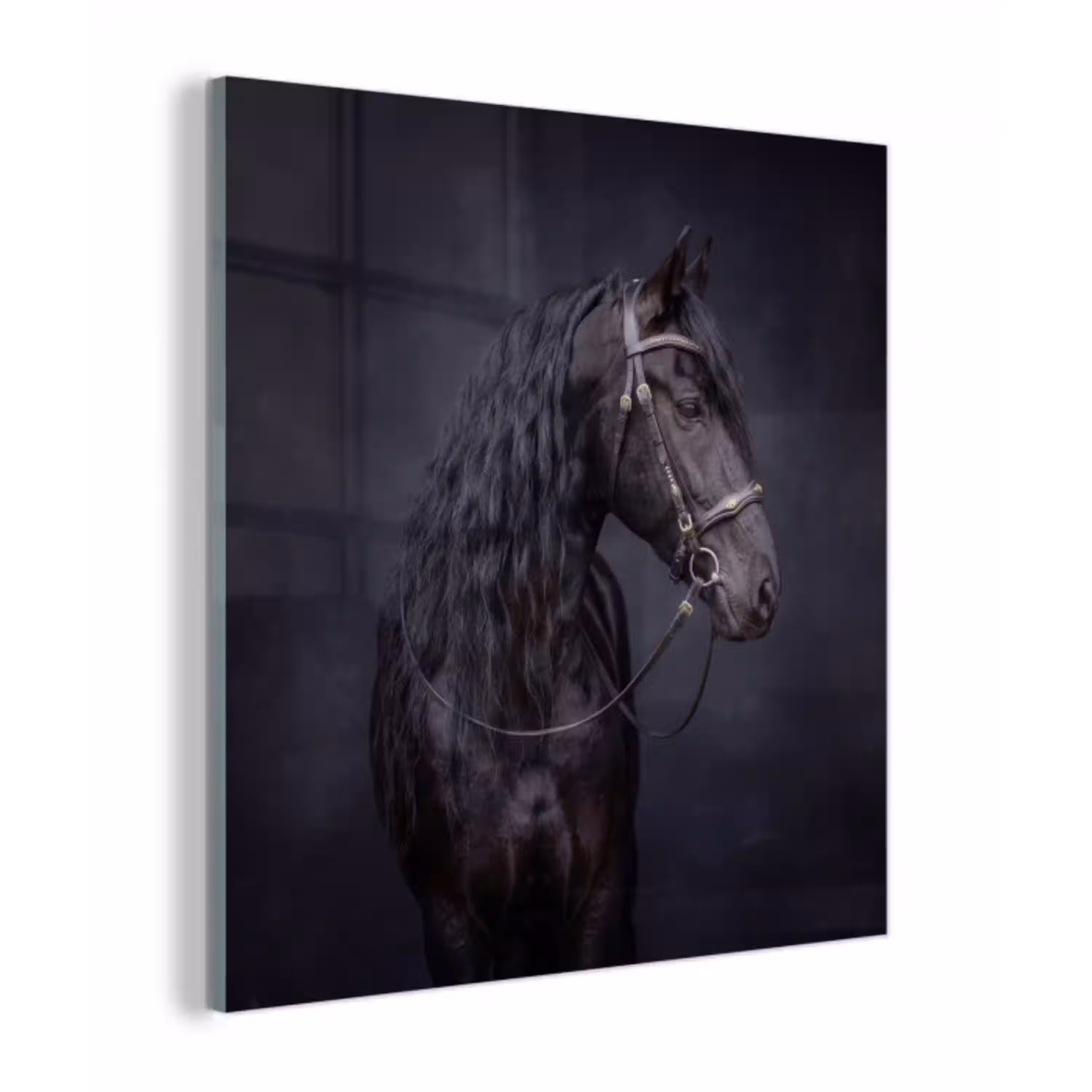 Portret - Paard - Donker plexiglas 5mm klein -z3d