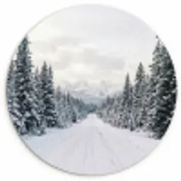 Weg - Sneeuw - Naaldbos - Winter - Avontuurlijk Wandcirkel kunststof plaat 5mm dik klein -3d