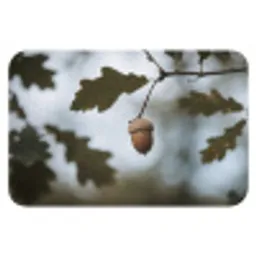 Eikel - Eikenblad - Bos - Herfst - Natuur Badmat klein -3d