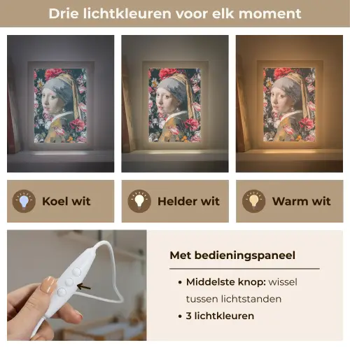 Meisje met de parel - Johannes Vermeer - Bloemen Light Box met kabel (Wandlamp) klein -USP_lichtkleurNL