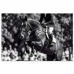 Springen - Paard - Zwart - Wit poster papier klein -3d
