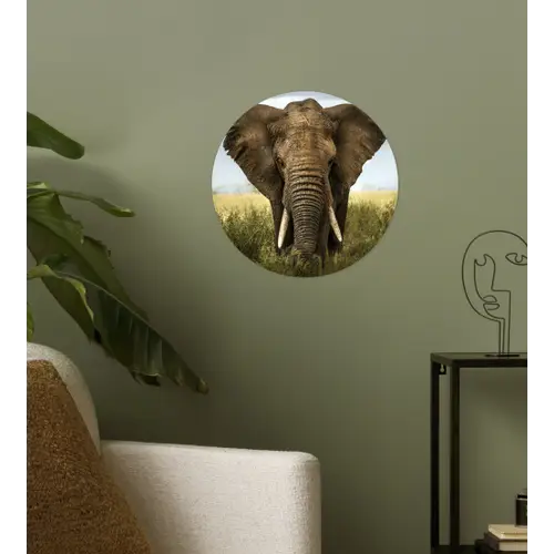Olifant - Natuur - Gras - Dieren - Landschap Wandcirkel behangsticker klein -sfeer2