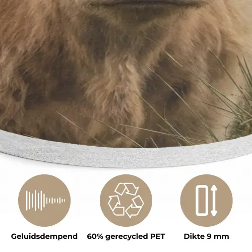 Schotse hooglander - Bergen - Grasveld Akoestische PET Vilt - Rond klein -closeup_NL