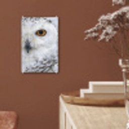 Sneeuwuil - Oog - Wildlife - Wit plexiglas 5mm klein -sfeer5
