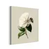 Cameliabloem - Wit - Groen aluminium wit klein -3d