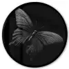 Vlinder - Zwart - Insect - Dieren Fotolijst rond zonder passe partout klein -3d