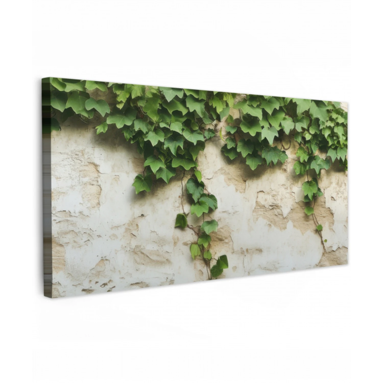 Klimop - Muur - Groen Tuinposter op houten frame 2 cm dik xxl -3d