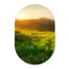 Gras - Heuvels - Zon - Natuur Wandcirkel Ovaal Forex klein -3d