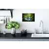 Jungle - Waterval - Australië - Planten - Natuur Muursticker klein -keuken