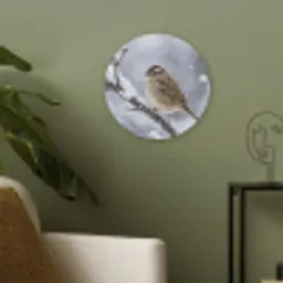Vogel - Tak - Sneeuw - Winter Akoestische PET Vilt - Rond klein -sfeer2