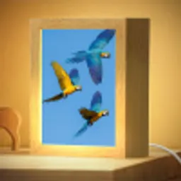 Papagaai - Vliegen - Blauw - Geel Light Box met kabel (Kinderlampje) klein -zzzz_3d_website