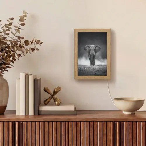 Olifant - Zwart - Wit - Rook Light Box met kabel (Tafellamp) klein -sfeer2
