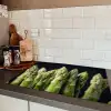 Asperges - Groen - Zwart Inductie beschermer vinyl 3mm klein -sfeer3