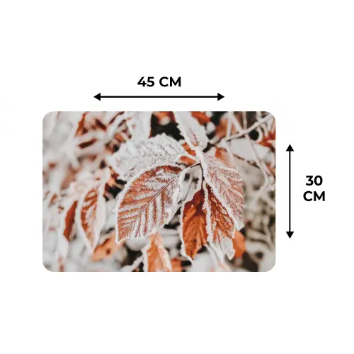 Bladeren - IJs - Winter - Natuur Placemat vinyl groot -specs