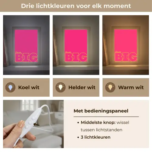 Minimalistisch - Roze - Dream big - Grafisch Light Box met kabel (Tafellamp) klein -USP_lichtkleurNL
