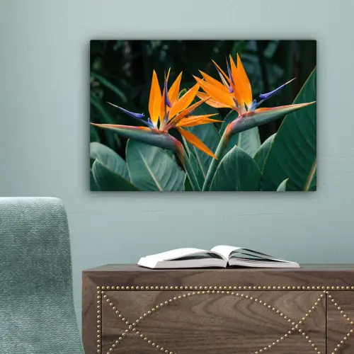 Paradijsvogel - Bloem - Exotisch canvas 2cm klein -sfeer4