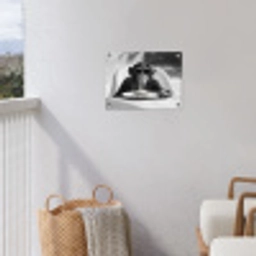 Aap - Spaghetti - Zonnebril - Zwart wit - Cool - Dier tuinposter los doek klein -sfeer8