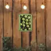 Appels - Groen - bladeren tuinposter los doek klein -sfeer1