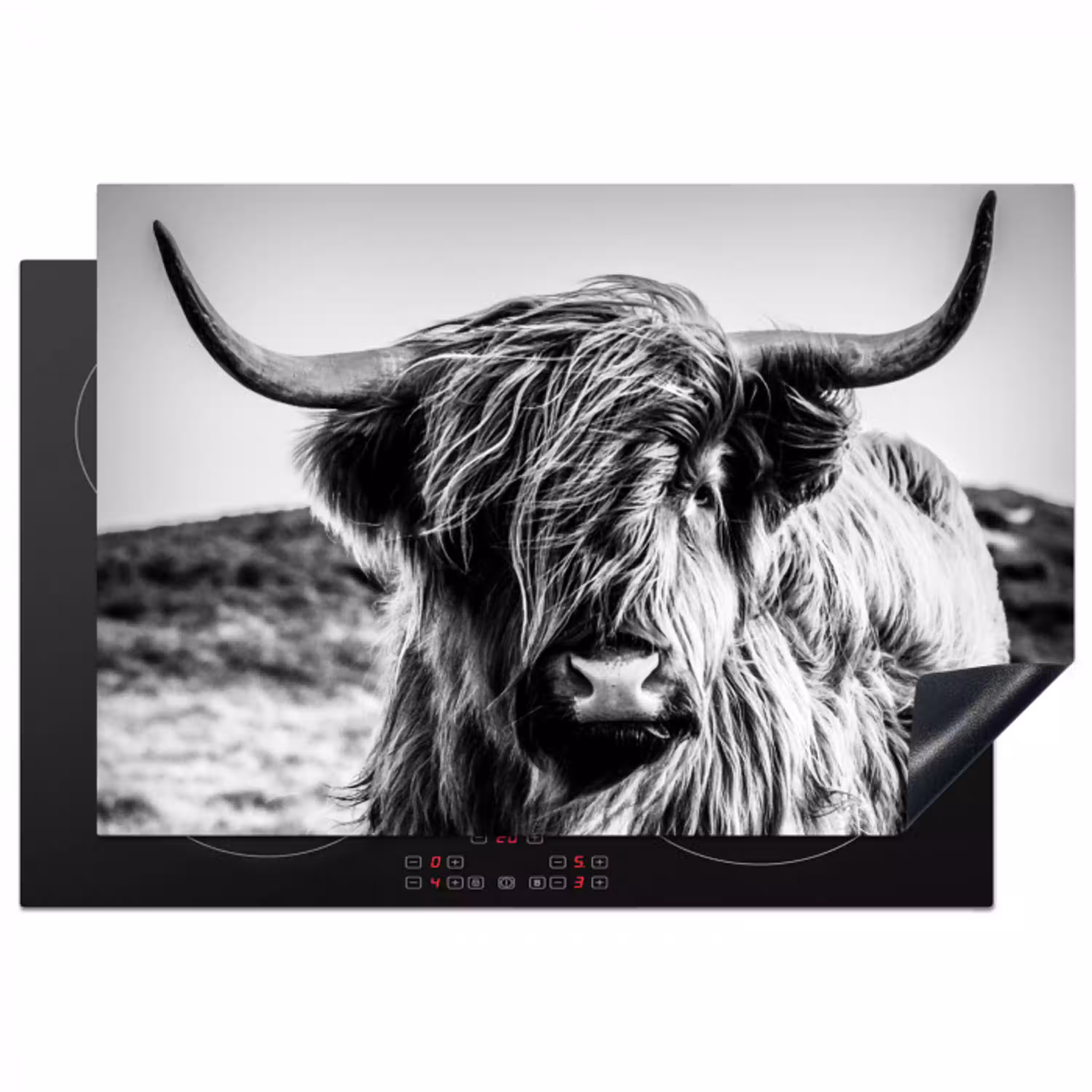 Schotse hooglander - Natuur - Koe - Zwart - Wit Inductie beschermer vinyl 3mm klein -3d