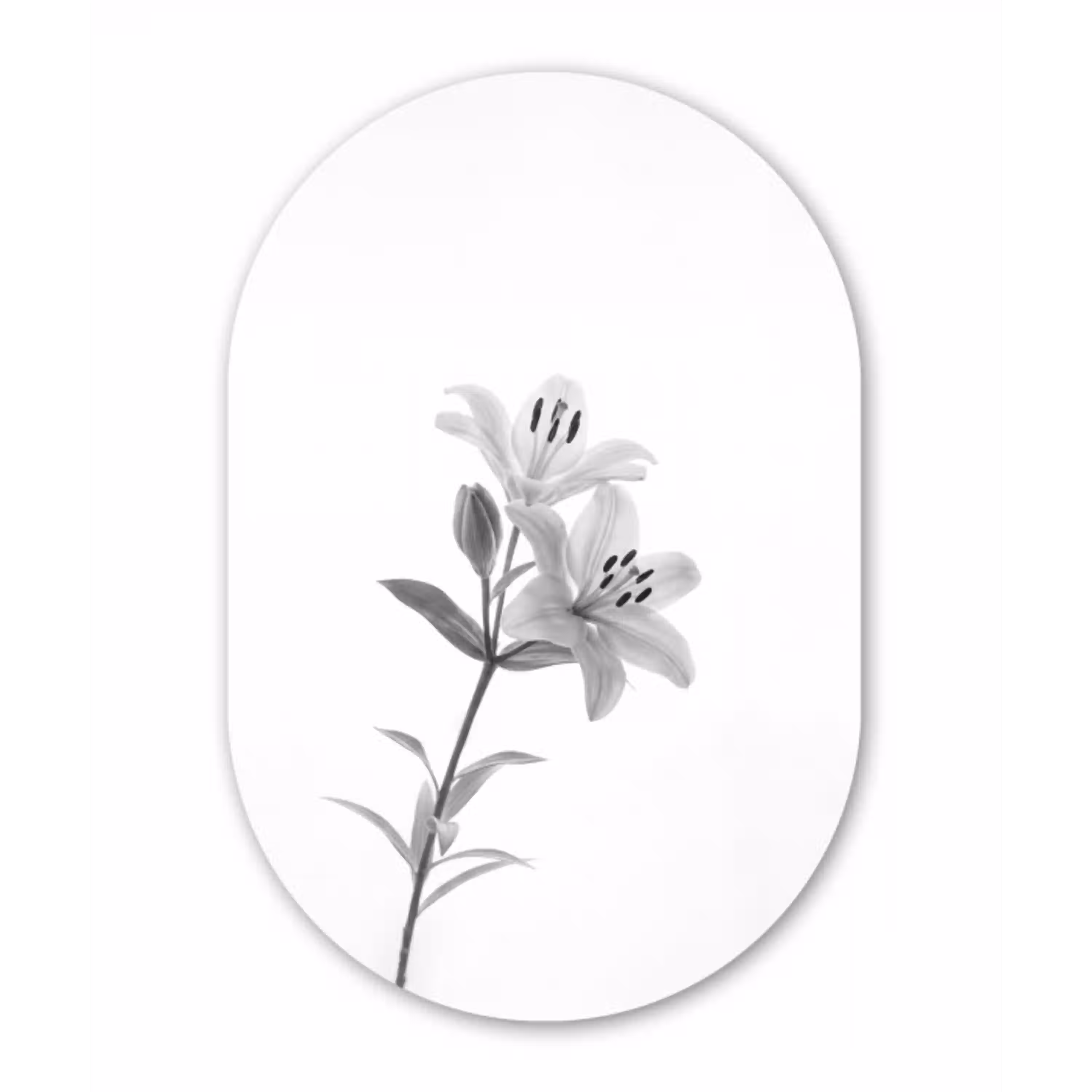 Lelies - Elegant - Zwart - Wit Wandcirkel Ovaal Aluminium middel -3d