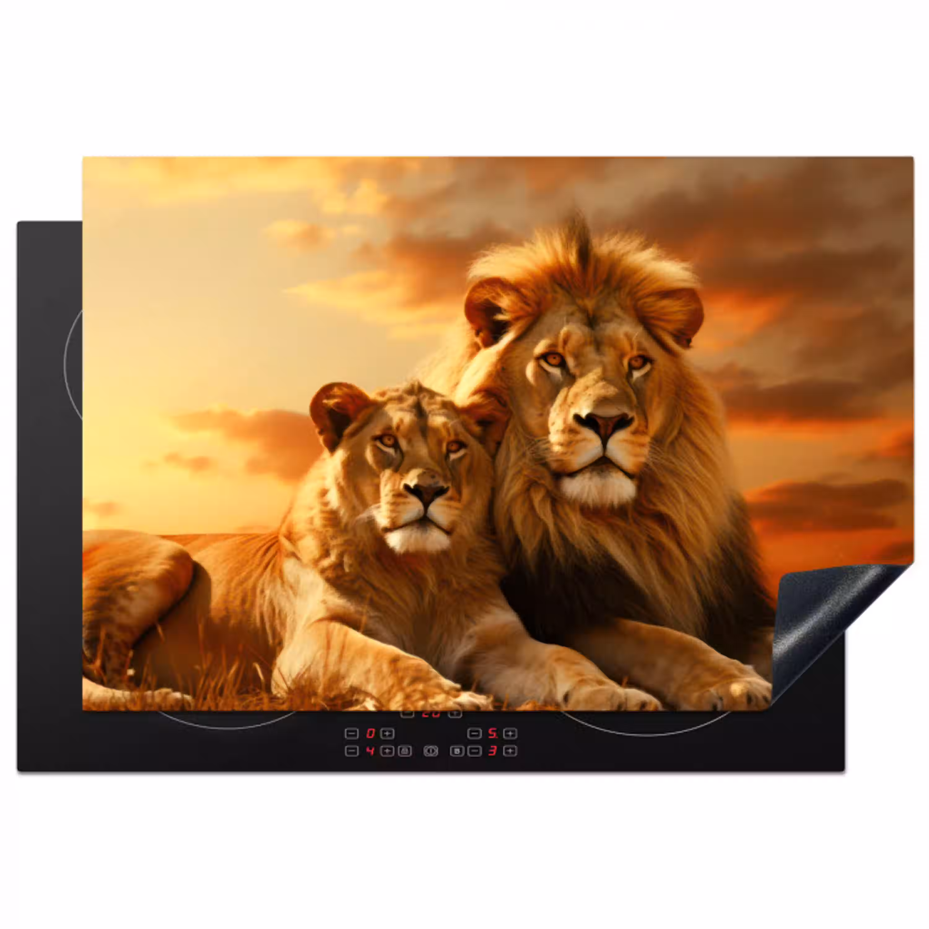 Leeuwen - Zonsondergang - Afrika - Savanne - Dieren Inductie beschermer vinyl 3mm klein -3d