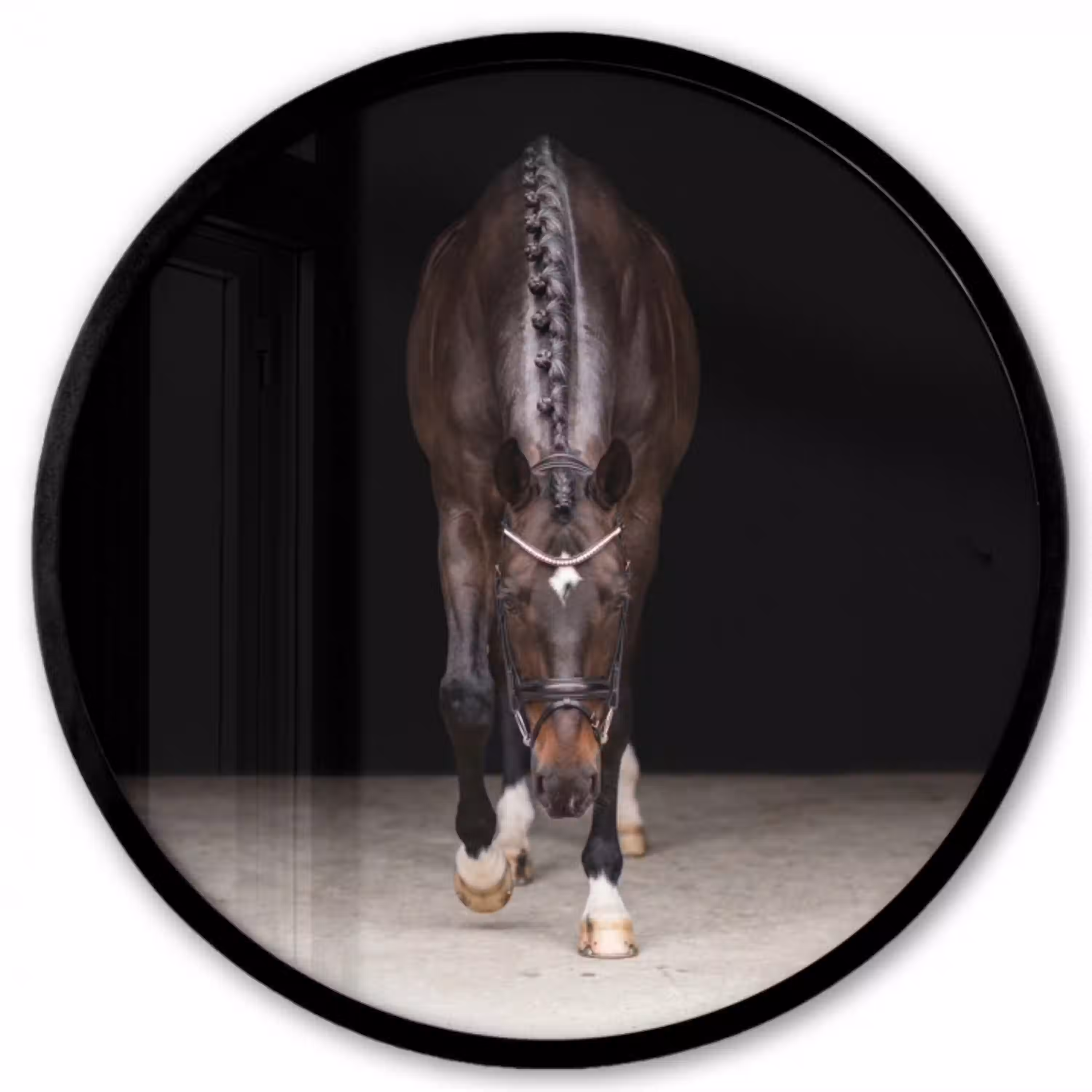 Paard - Modern - Portret Fotolijst rond zonder passe partout klein -3d