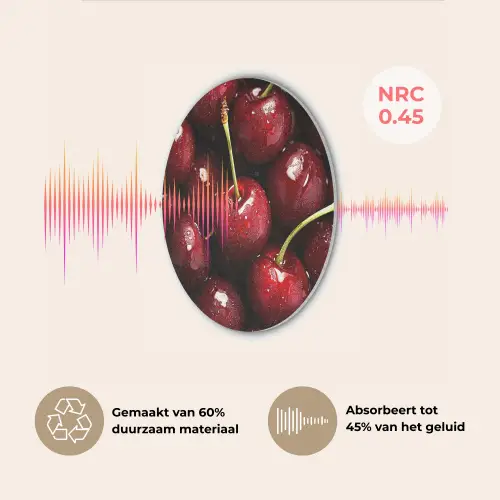 Rood - Fruit - Kersen Akoestische PET Vilt - Rond klein -USP_NL