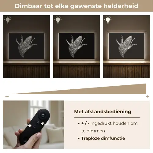 Maïskolf - Glanzend metaal - Elegant Light Box met batterij (Wandlamp) middel -USP_dimbaarNL