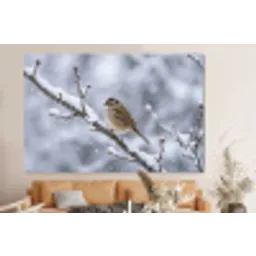 Vogel - Tak - Sneeuw - Winter forex 5mm xxl -bovenbank